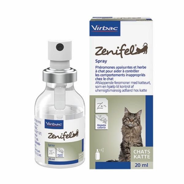 Spray herbe à chat, 150ml - Bubimex